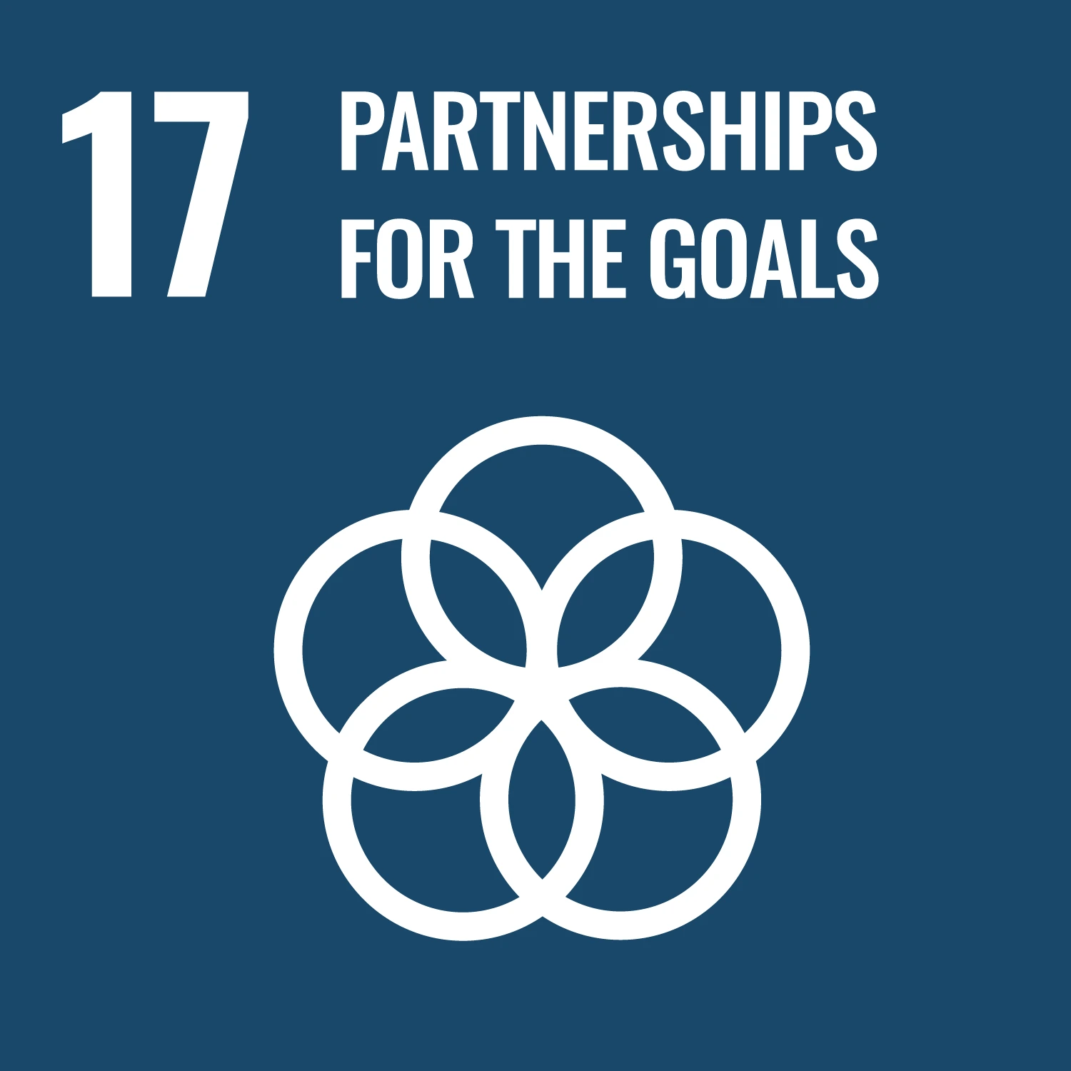 GOAL 17: Partnerships for the goals