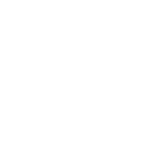 SDG Goal 16 logo