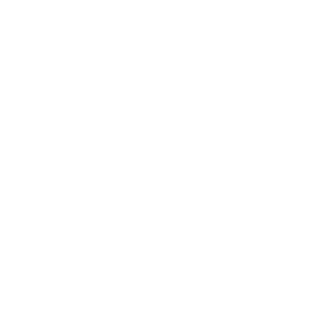 SDG Goal 17 logo