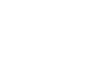 SDG Goal 3 logo